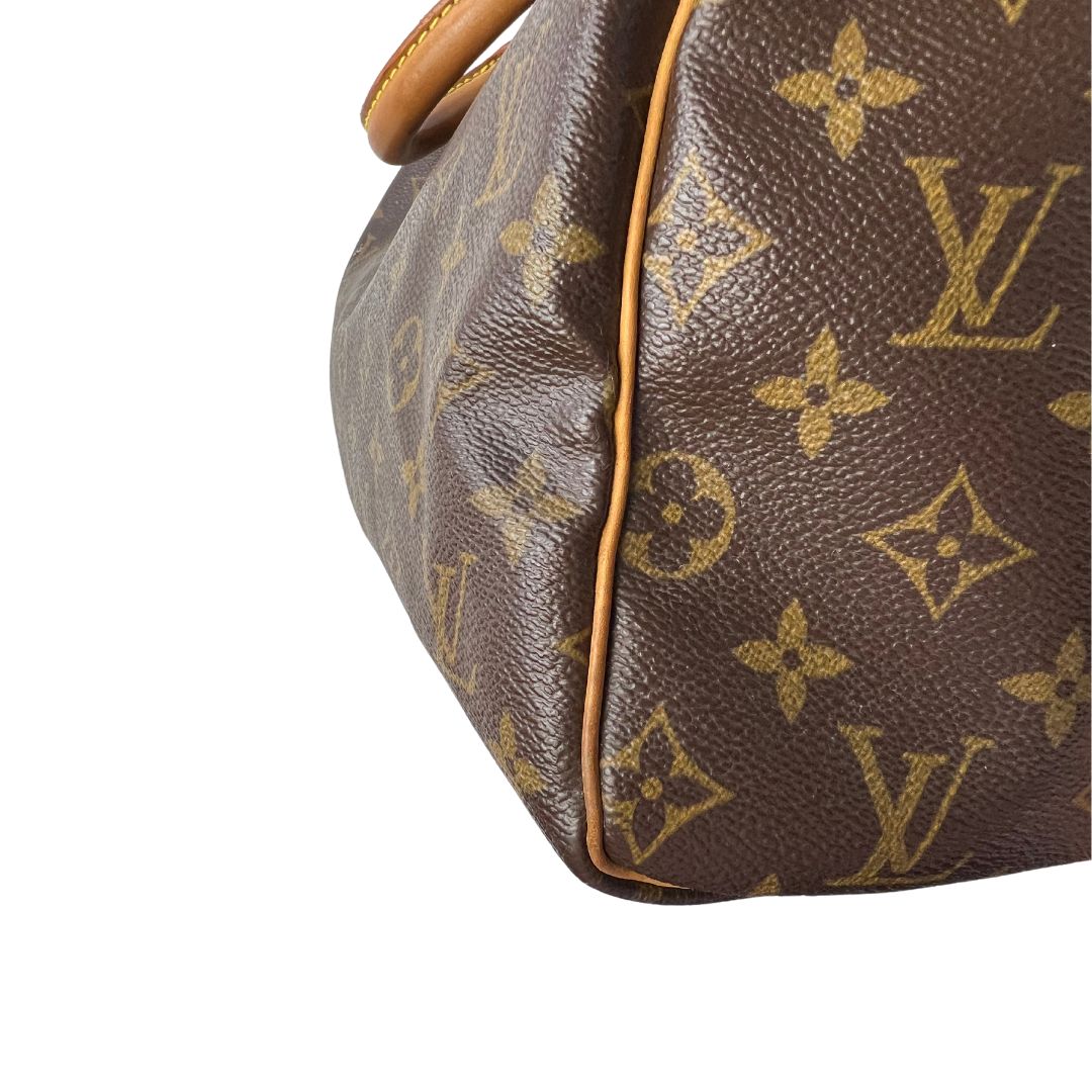 LOUIS VUITTON SPEEDY 30 MONOGRAM
